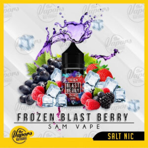 Frozen Blast Berry SaltNic