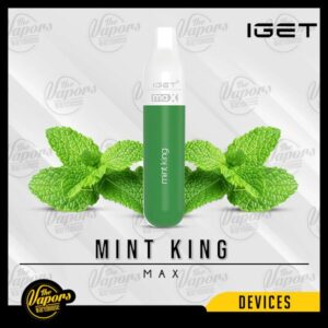 IGET Max Disposables Device (2300 Puffs) Mint King
