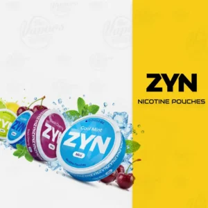 ZYN - NICOTINE POUCHES