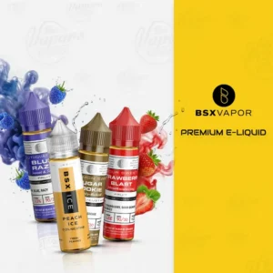 BSX SERIES PREMIUM E-LIQUID
